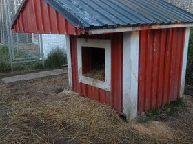 Kaksi koirankoppia, Koirien tarvikkeet, Lemmikkieläimet, Kokkola, Tori.fi Kaksi koirankoppia, Koirien tarvikkeet, Lemmikkieläimet, Kokkola, Tori.fi