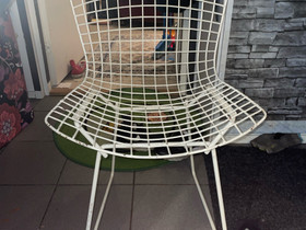 Bertoia tuoli, valkoinen, Antiikki ja taide, Sisustus ja huonekalut, Mäntyharju, Tori.fi Bertoia tuoli, valkoinen, Antiikki ja taide, Sisustus ja huonekalut, Mäntyharju, Tori.fi