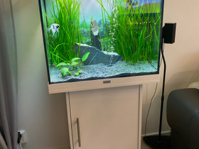 Lido akvaario 120 l 60x40 kaikkineeen, Kalat ja akvaariot, Lemmikkieläimet, Vantaa, Tori.fi Lido akvaario 120 l 60x40 kaikkineeen, Kalat ja akvaariot, Lemmikkieläimet, Vantaa, Tori.fi