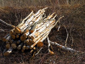 Polttopuurankaa, Maatalous, Paltamo, Tori.fi Polttopuurankaa, Maatalous, Paltamo, Tori.fi