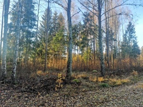 Salo Kiikala Kalatie 760C, Tontit, Salo, Tori.fi Salo Kiikala Kalatie 760C, Tontit, Salo, Tori.fi