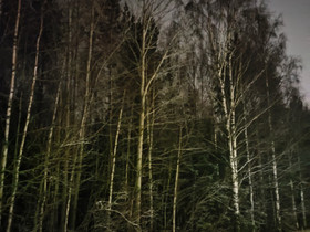 Metsää, Metsätilat ja maatilat, Alajärvi, Tori.fi Metsää, Metsätilat ja maatilat, Alajärvi, Tori.fi