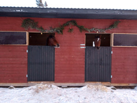 Siirtotalli, Muut hevostarvikkeet, Hevoset ja hevosurheilu, Porvoo, Tori.fi Siirtotalli, Muut hevostarvikkeet, Hevoset ja hevosurheilu, Porvoo, Tori.fi