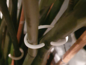 Plants holder, Muu piha ja puutarha, Piha ja puutarha, Lappeenranta, Tori.fi Plants holder, Muu piha ja puutarha, Piha ja puutarha, Lappeenranta, Tori.fi