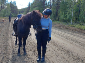 Liikutus/vuokra heppa, Hevoset ja ponit, Hevoset ja hevosurheilu, Kolari, Tori.fi Liikutus/vuokra heppa, Hevoset ja ponit, Hevoset ja hevosurheilu, Kolari, Tori.fi