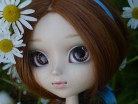 Pullip Classical Alice, Muu keräily, Keräily, Mäntsälä, Tori.fi Pullip Classical Alice, Muu keräily, Keräily, Mäntsälä, Tori.fi