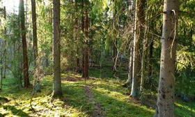 3.43 ha, Takkulantie 244, Nurmijärvi, Tontit, Nurmijärvi, Tori.fi 3.43 ha, Takkulantie 244, Nurmijärvi, Tontit, Nurmijärvi, Tori.fi