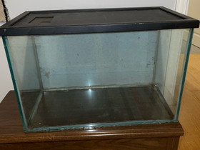 Terraario kannella, Muut eläintarvikkeet, Lemmikkieläimet, Ilmajoki, Tori.fi Terraario kannella, Muut eläintarvikkeet, Lemmikkieläimet, Ilmajoki, Tori.fi