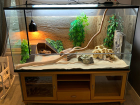 Iso terraario sisältöineen, Muut eläintarvikkeet, Lemmikkieläimet, Joensuu, Tori.fi Iso terraario sisältöineen, Muut eläintarvikkeet, Lemmikkieläimet, Joensuu, Tori.fi