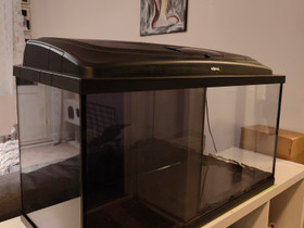 Aquael 100l akvaario, Kalat ja akvaariot, Lemmikkieläimet, Jyväskylä, Tori.fi Aquael 100l akvaario, Kalat ja akvaariot, Lemmikkieläimet, Jyväskylä, Tori.fi