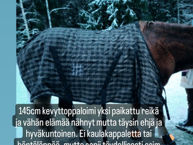 Sekalaista Heppakamaa, Muut hevostarvikkeet, Hevoset ja hevosurheilu, Kouvola, Tori.fi Sekalaista Heppakamaa, Muut hevostarvikkeet, Hevoset ja hevosurheilu, Kouvola, Tori.fi