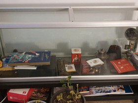 Akvaarioallas, Kalat ja akvaariot, Lemmikkieläimet, Helsinki, Tori.fi Akvaarioallas, Kalat ja akvaariot, Lemmikkieläimet, Helsinki, Tori.fi