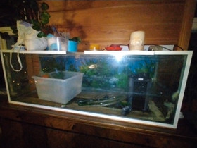 350L akvaario+suodatin+ UV lamppu ja tarvikkeita, Kalat ja akvaariot, Lemmikkieläimet, Sipoo, Tori.fi 350L akvaario+suodatin+ UV lamppu ja tarvikkeita, Kalat ja akvaariot, Lemmikkieläimet, Sipoo, Tori.fi