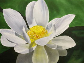 Lotus - maalaus, Taulut, Sisustus ja huonekalut, Lahti, Tori.fi Lotus - maalaus, Taulut, Sisustus ja huonekalut, Lahti, Tori.fi