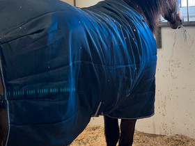 Horseware Amigo sisäloimi, Satulat ja varusteet, Hevoset ja hevosurheilu, Savonlinna, Tori.fi Horseware Amigo sisäloimi, Satulat ja varusteet, Hevoset ja hevosurheilu, Savonlinna, Tori.fi