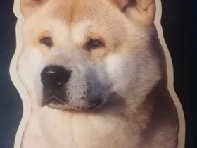 Akita inu autotarra, Koirien tarvikkeet, Lemmikkieläimet, Salo, Tori.fi Akita inu autotarra, Koirien tarvikkeet, Lemmikkieläimet, Salo, Tori.fi