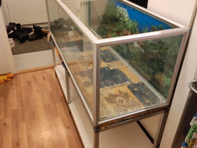 Giant 375L akvaario, Kalat ja akvaariot, Lemmikkieläimet, Lohja, Tori.fi Giant 375L akvaario, Kalat ja akvaariot, Lemmikkieläimet, Lohja, Tori.fi