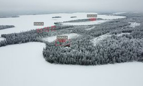 Honkarannantie (sis. yhteismetsäosuus 0,023000), S, Metsätilat ja maatilat, Kuusamo, Tori.fi Honkarannantie (sis. yhteismetsäosuus 0,023000), S, Metsätilat ja maatilat, Kuusamo, Tori.fi