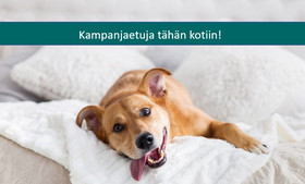 2H, Spinellikuja 1 A 26, Kivistö, Vantaa, Vuokrattavat asunnot, Asunnot, Vantaa, Tori.fi 2H, Spinellikuja 1 A 26, Kivistö, Vantaa, Vuokrattavat asunnot, Asunnot, Vantaa, Tori.fi