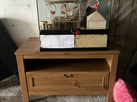 Terraario 60x40x40, Muut eläintarvikkeet, Lemmikkieläimet, Masku, Tori.fi Terraario 60x40x40, Muut eläintarvikkeet, Lemmikkieläimet, Masku, Tori.fi