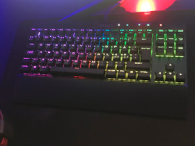 Corsair K65 Rapidfire, Oheislaitteet, Tietokoneet ja lisälaitteet, Järvenpää, Tori.fi Corsair K65 Rapidfire, Oheislaitteet, Tietokoneet ja lisälaitteet, Järvenpää, Tori.fi