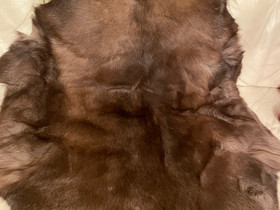 Porontalja, Matot ja tekstiilit, Sisustus ja huonekalut, Tampere, Tori.fi Porontalja, Matot ja tekstiilit, Sisustus ja huonekalut, Tampere, Tori.fi