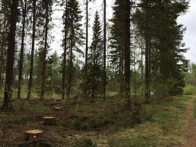 7043m², Kalevankangas, Tyrjäntie Kortteli 16, Mikk, Tontit, Mikkeli, Tori.fi 7043m², Kalevankangas, Tyrjäntie Kortteli 16, Mikk, Tontit, Mikkeli, Tori.fi