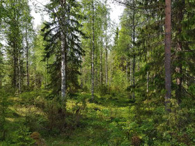 1705m², Paljakan rakennuskaava Kortteli 80, tontti, Tontit, Puolanka, Tori.fi 1705m², Paljakan rakennuskaava Kortteli 80, tontti, Tontit, Puolanka, Tori.fi