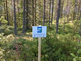 5940m², Iso-Rommakko, Jauranniementie Kortteli 9,, Tontit, Kuhmo, Tori.fi 5940m², Iso-Rommakko, Jauranniementie Kortteli 9,, Tontit, Kuhmo, Tori.fi