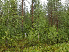 5675m², Iso-Kupsunen, Hukkajärventie Kortteli 1, t, Tontit, Kuhmo, Tori.fi 5675m², Iso-Kupsunen, Hukkajärventie Kortteli 1, t, Tontit, Kuhmo, Tori.fi
