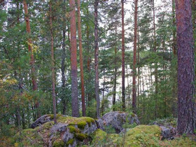 4660m², Uitontie, Jyväskylä, Tontit, Jyväskylä, Tori.fi 4660m², Uitontie, Jyväskylä, Tontit, Jyväskylä, Tori.fi