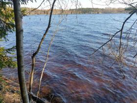 1.8 ha, Mellerintie, Petäjävesi, Tontit, Petäjävesi, Tori.fi 1.8 ha, Mellerintie, Petäjävesi, Tontit, Petäjävesi, Tori.fi