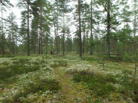 674m², Jämijärvi Harjukuja, kortteli 309 tontti 2,, Tontit, Jämijärvi, Tori.fi
