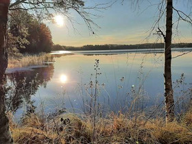 6870m², Ruokomäentie 342 E, Kangasniemi, Tontit, Kangasniemi, Tori.fi 6870m², Ruokomäentie 342 E, Kangasniemi, Tontit, Kangasniemi, Tori.fi