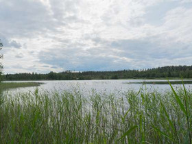 5580m², Korppisenjärvi Tontti 1, Puumala, Tontit, Puumala, Tori.fi 5580m², Korppisenjärvi Tontti 1, Puumala, Tontit, Puumala, Tori.fi