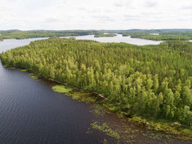 6060m², Saimaa, Laakko Kortteli 7, tontti 5, Puuma, Tontit, Puumala, Tori.fi 6060m², Saimaa, Laakko Kortteli 7, tontti 5, Puuma, Tontit, Puumala, Tori.fi