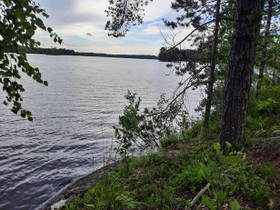 5.45 ha, Nääringintie 368, Juva, Tontit, Juva, Tori.fi 5.45 ha, Nääringintie 368, Juva, Tontit, Juva, Tori.fi