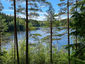 1.15 ha, Kotalammentie 211, Lohja, Tontit, Lohja, Tori.fi 1.15 ha, Kotalammentie 211, Lohja, Tontit, Lohja, Tori.fi