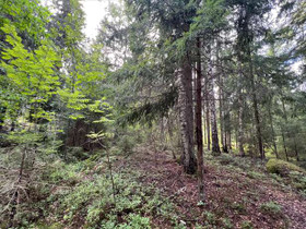 5050m², Tarinatie, Lohja, Tontit, Lohja, Tori.fi 5050m², Tarinatie, Lohja, Tontit, Lohja, Tori.fi