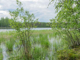 4025m², Pieksänlahti, Enonvesi Tontti 2, Sulkava, Tontit, Sulkava, Tori.fi 4025m², Pieksänlahti, Enonvesi Tontti 2, Sulkava, Tontit, Sulkava, Tori.fi