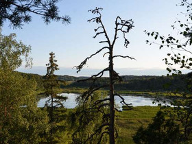 2490m², Kyynärkuja, Lohja, Tontit, Lohja, Tori.fi 2490m², Kyynärkuja, Lohja, Tontit, Lohja, Tori.fi