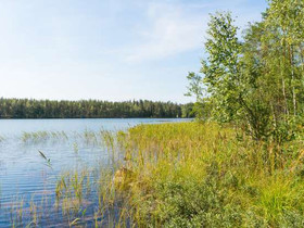 4770m², Kuorejärvi Tontti 3, Mäntyharju, Tontit, Mäntyharju, Tori.fi