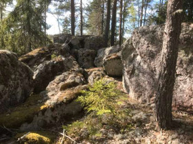 4 ha, Ahonpääntien pistotie (ei virallinen), Pusul, Tontit, Lohja, Tori.fi 4 ha, Ahonpääntien pistotie (ei virallinen), Pusul, Tontit, Lohja, Tori.fi