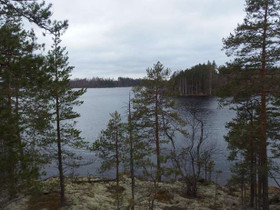 5000m², Pöllänniemi, Savonlinna, Tontit, Savonlinna, Tori.fi 5000m², Pöllänniemi, Savonlinna, Tontit, Savonlinna, Tori.fi
