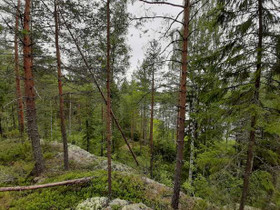 6060m², Huhtilampi Tontti 1, Pieksämäki, Tontit, Pieksämäki, Tori.fi 6060m², Huhtilampi Tontti 1, Pieksämäki, Tontit, Pieksämäki, Tori.fi