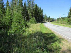 5000m², Vanhanmäentie, Mikkeli, Tontit, Mikkeli, Tori.fi 5000m², Vanhanmäentie, Mikkeli, Tontit, Mikkeli, Tori.fi