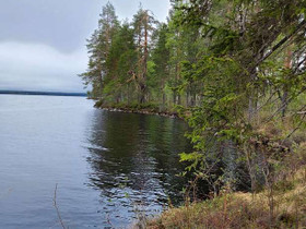 3391m², Laakajärvi, Haahkantie 32 Kortteli 2, tont, Tontit, Sotkamo, Tori.fi 3391m², Laakajärvi, Haahkantie 32 Kortteli 2, tont, Tontit, Sotkamo, Tori.fi