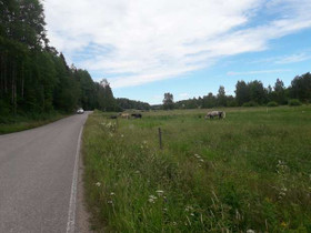 7669m², Immersbyntie, Sipoo, Tontit, Sipoo, Tori.fi 7669m², Immersbyntie, Sipoo, Tontit, Sipoo, Tori.fi