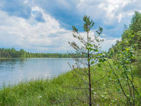 6750m², Kiviapaja, Suojärvi Kortteli 1, tontti 2,, Tontit, Savonlinna, Tori.fi 6750m², Kiviapaja, Suojärvi Kortteli 1, tontti 2,, Tontit, Savonlinna, Tori.fi