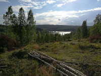 1100m², Kalhunkuja, Jyväskylä